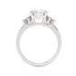 Platinum Round Cut Engagement Ring Accompanied by Round Side Stones - Side View
