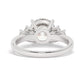 Platinum Round Cut Engagement Ring Accompanied by Round Side Stones - Back View
