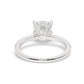 Round Cut Diamond Ring set on a Pavé Band in White Gold - Back View