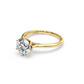 Tahiti Ring