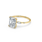 Lake Louise Ring
