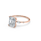 Lake Louise Ring