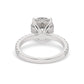 Platinum Round Cut Engagement Ring on a Pavé Band with a Hidden Halo - Back View