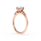 Dolomites Ring
