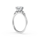 Dolomites Ring