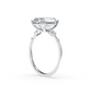 Lake Louise Ring
