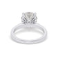 White Gold Round Cut Solitaire Engagement Ring with a Hidden Stone - Back View