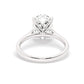 White Gold Oval Solitaire Engagement Ring - Back View