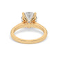 Yellow Gold Round Cut Engagement Ring with a Pavé Band and a Hidden Stone - Back View