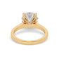 Yellow Gold Round Cut Solitaire Engagement Ring with a Hidden Stone - Back View
